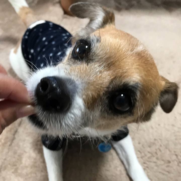 846d06c7 b1a1 48ad 8604 211dadb14b8c 1555538406919