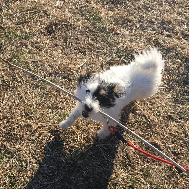 846d34b3 0d3a 413d 8e28 63a8373edf16 1515622207471