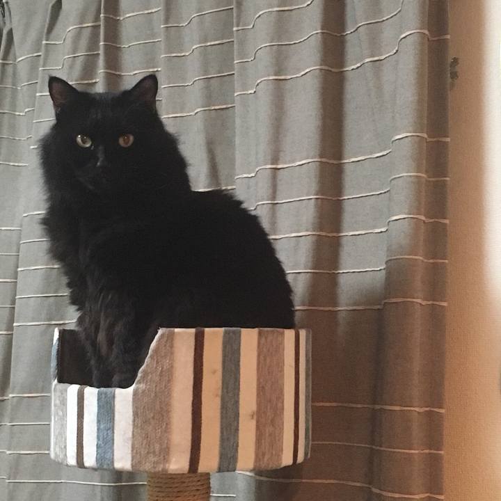 846d6a37 c4fe 4bdf 8198 e04916a2af4e 1571197786744