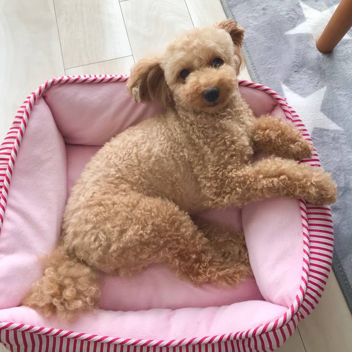 846d7b2b da15 40c8 8b2a ece7d225ee88 1597500895050