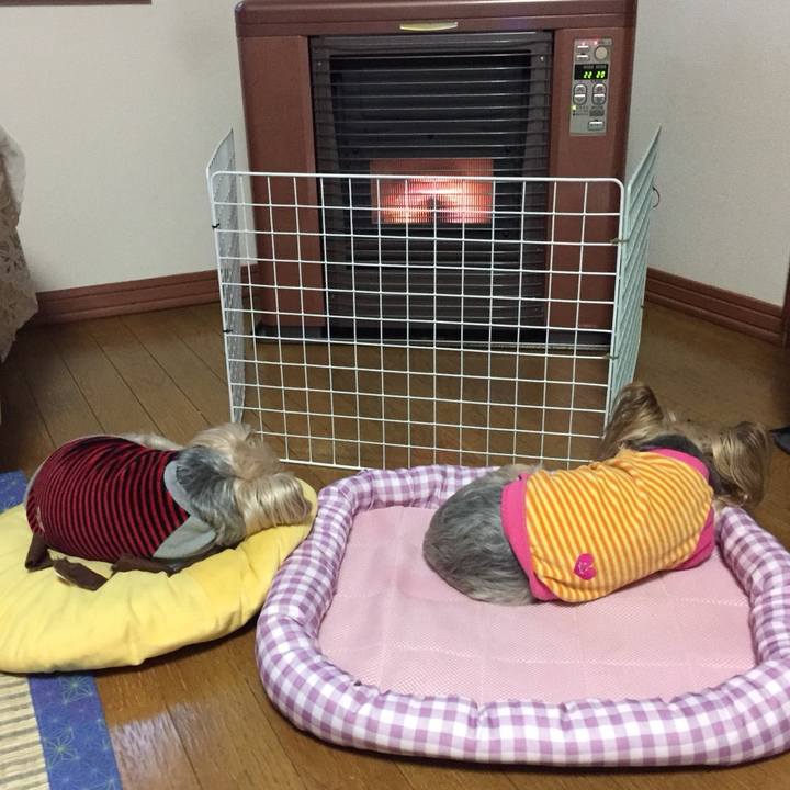 846e05d5 158a 470a a9c8 0dbe93b885f2 1538128723713