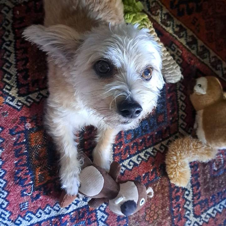 846e06d9 0419 4a5f 94ef db6c86df59e2 1759584503687