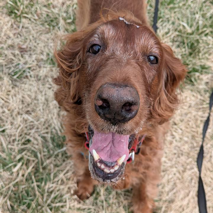 846e2354 7486 462d a80e ee2368b9e0b3 1775115652898