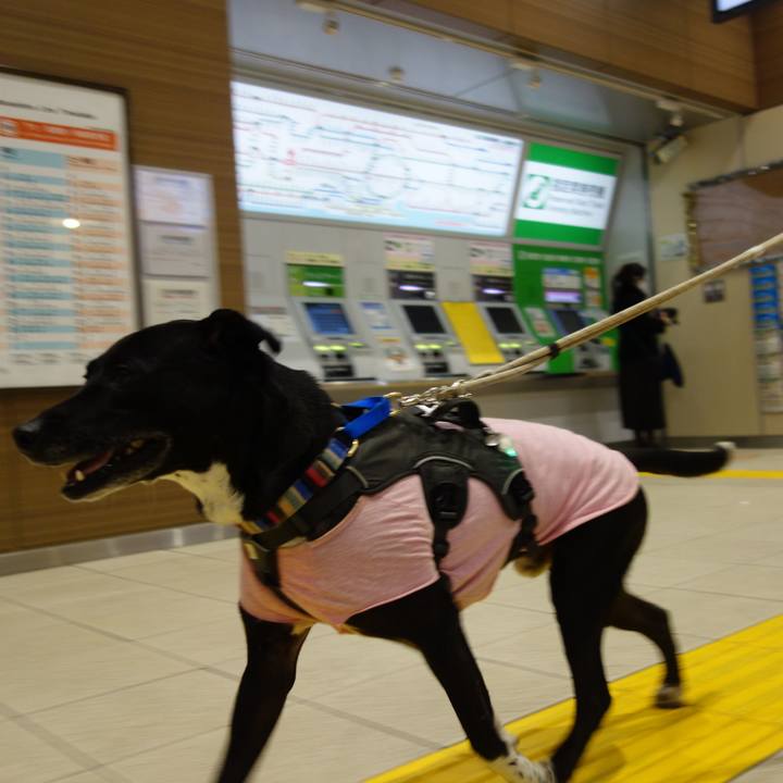 846e5757 831a 4b26 a985 54ae5b38a801 1645614273805