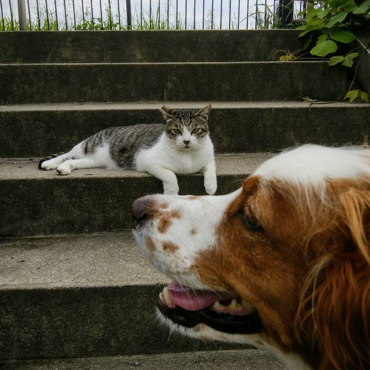 846e704a 23b7 4a44 810e 8ff62b308da6 1561894948233