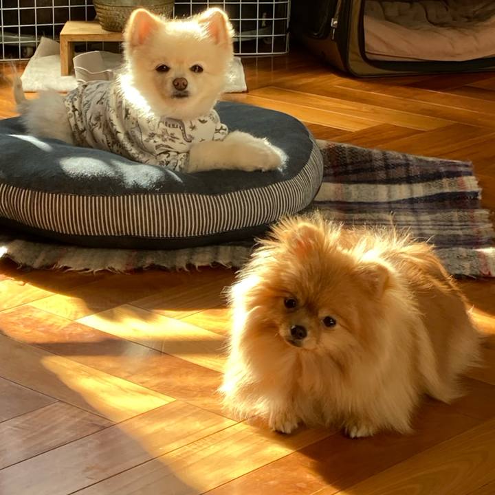 846e96fe c5ff 4829 8167 6c2080a1b269 1671064650356