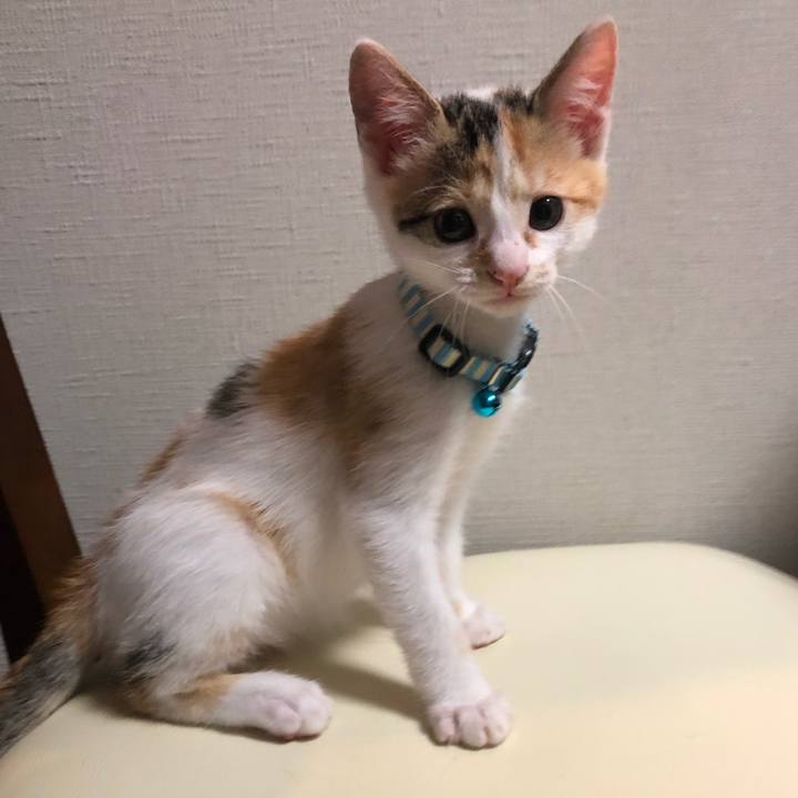 846eb6aa fa9f 41ce 9d7f 6af139340f4c 1562334369481