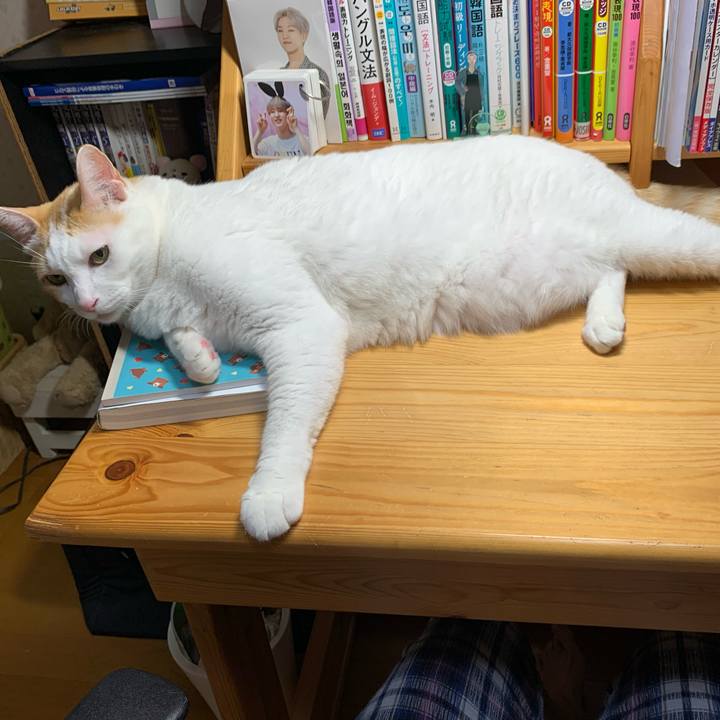 846ebb78 b939 4bd7 8cd1 3600c84214a8 1601932718969