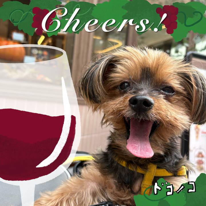 846f6669 5722 4d52 87c3 ab3e240d48e8 1761303558164