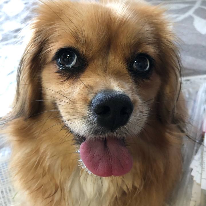 846f6b0d 4011 478c bee6 e70a1415538b 1563061589981