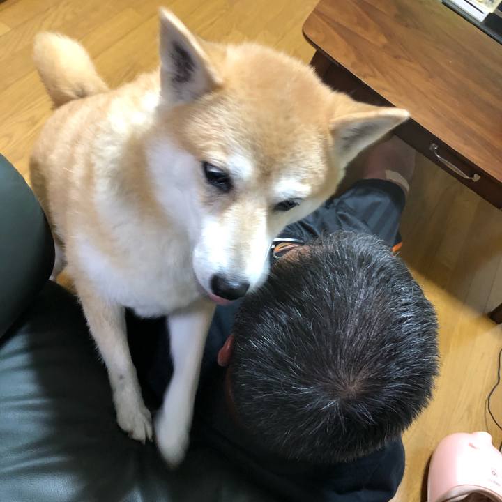 846f83f9 c03b 458c 9492 1100d70b097a 1599437505298