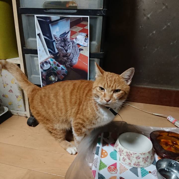 846f8a97 1302 4812 aa73 95af9a0d999b 1601846733525