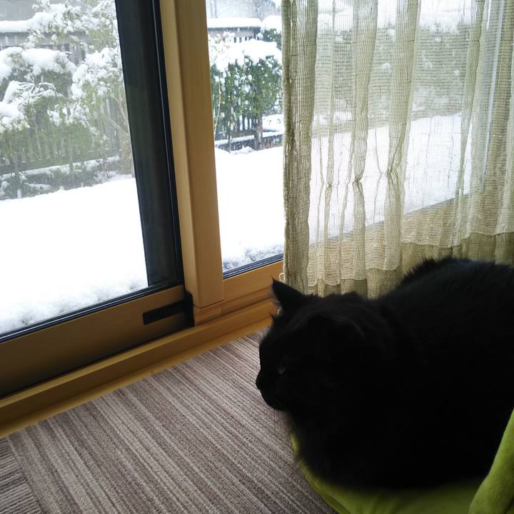 846fbad2 6800 4cd0 aa4b 355e4ddf1ba1 1553988002872