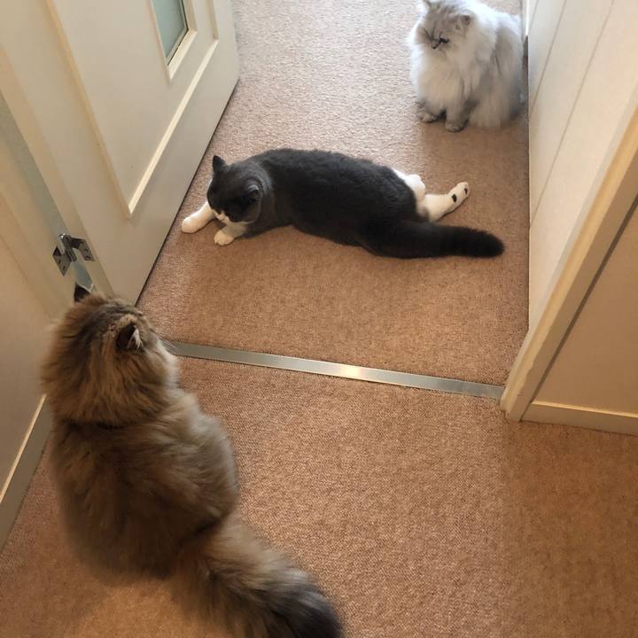 846fc815 1b1f 41f7 80f7 989bdb16304e 1544404442908