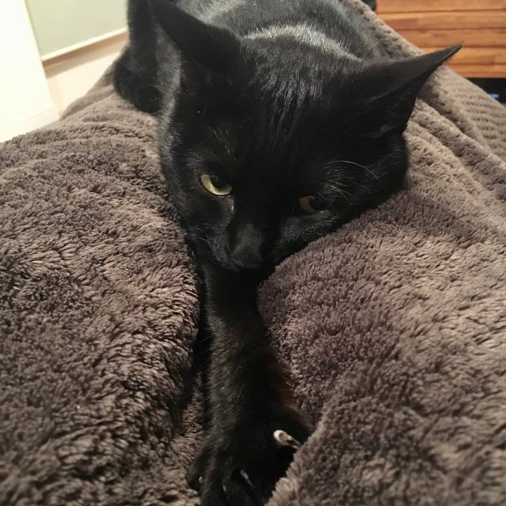 846fd149 3f04 4564 bb96 6504dce5918c 1543314487810