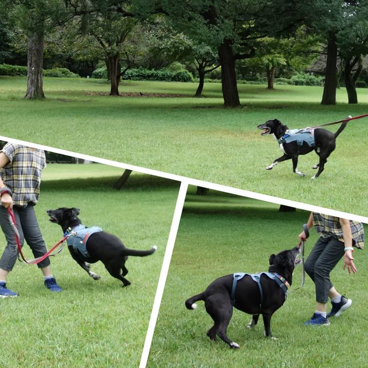 846ffa4b 7984 4c63 bc96 68a337b4a8e0 1726446790847