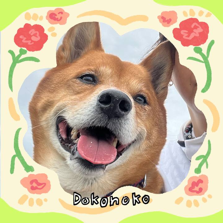 84701cf2 2fac 4260 9392 2307ecc34349 1715481460221