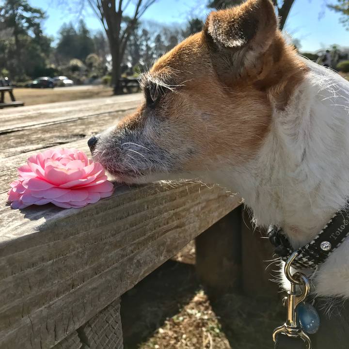 84701f73 6e3b 475c b705 c068a4079cea 1553405557050