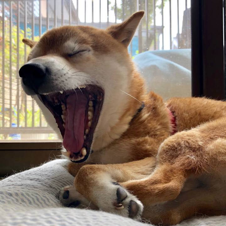 847029c2 8db4 4871 a06c db85722d3352 1525060001542