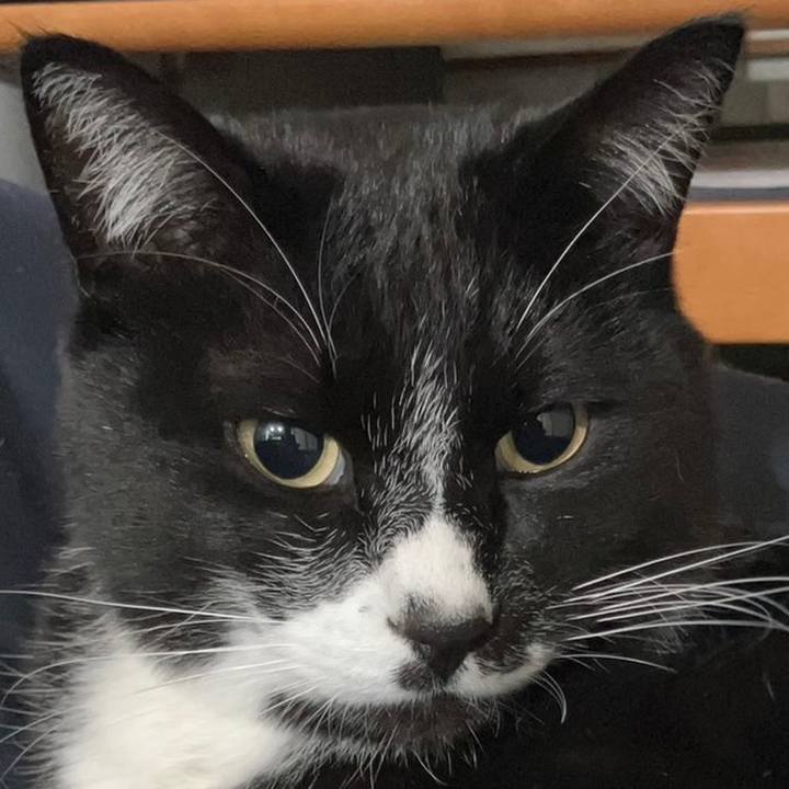 847037db e582 40fb a651 50d2c25d1d54 1679726709517