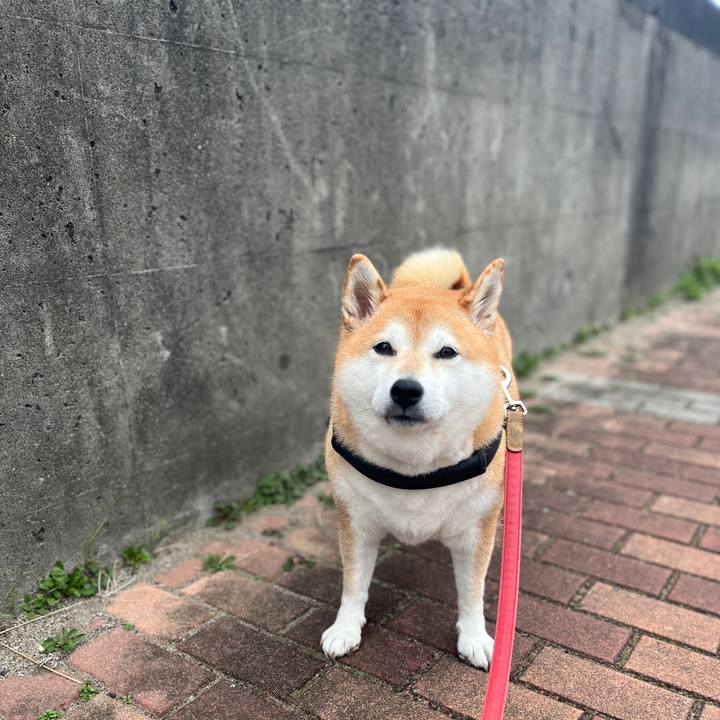 84705bdb 178b 401d bec9 6f822cdceedd 1700990889693