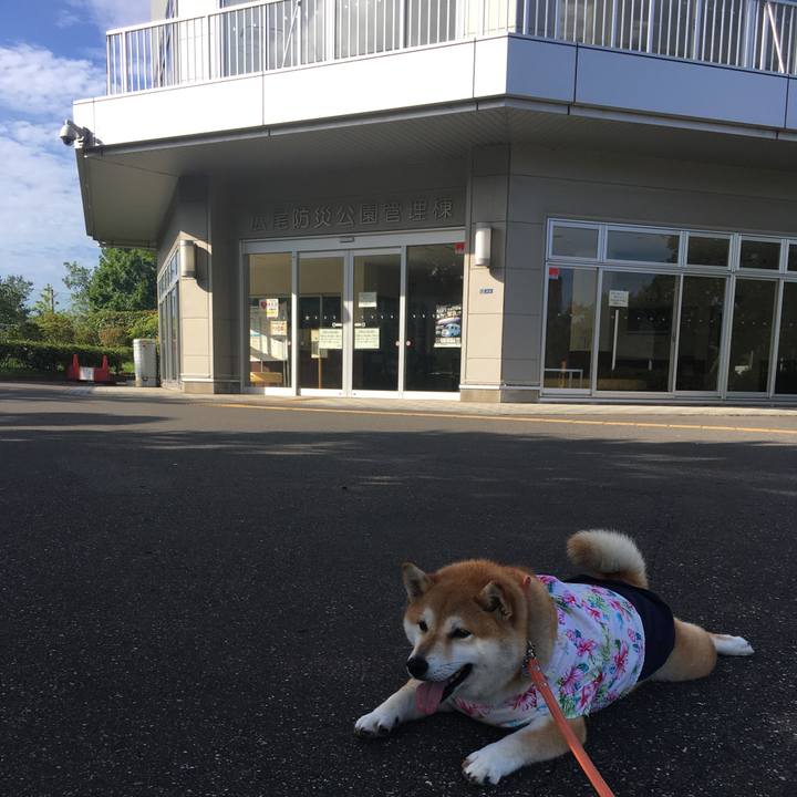 84707774 8ffc 433c 828e 896dcea13d22 1565049356167