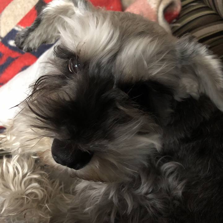 84708bfa 684d 4bba 8012 7ec0b8852c42 1586990621349