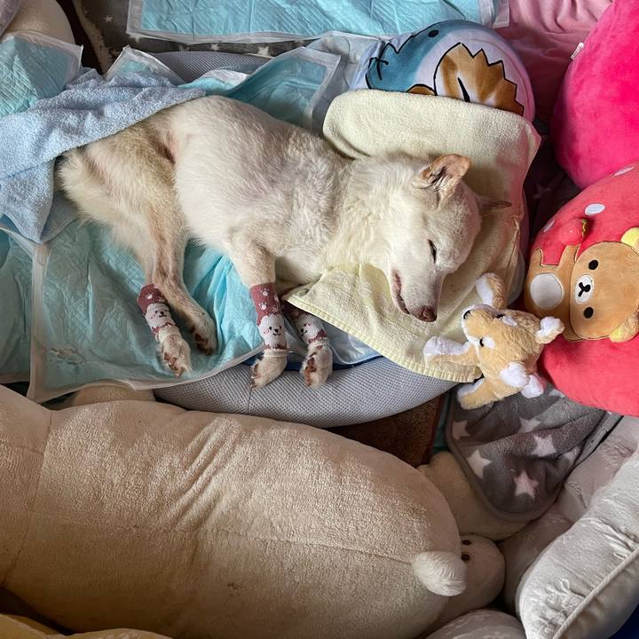 84709a9b 6f23 462d 8990 240c08c03a9d 1683433649453