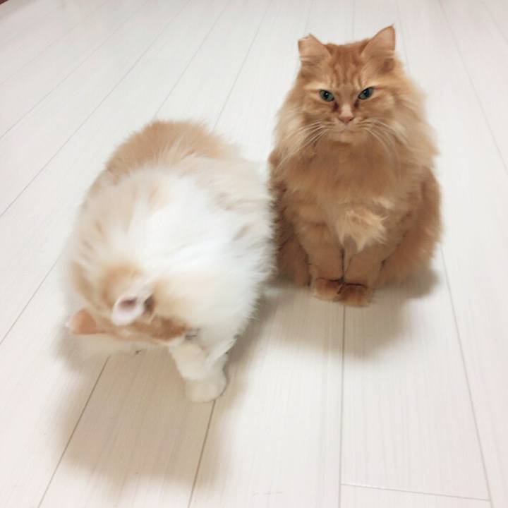 84709d3e dab6 4ac6 9b0a 40586b92a6e3 1510521371067