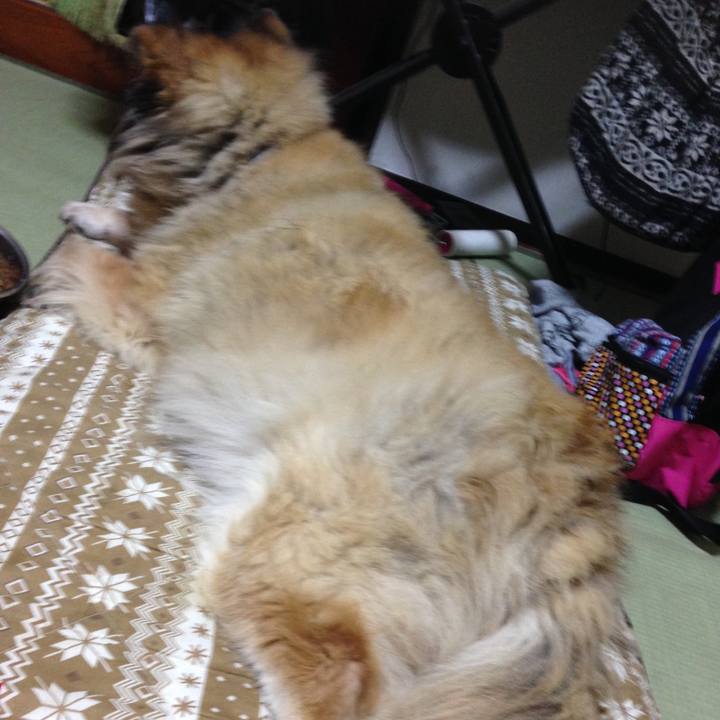 8470a848 5dc3 4010 aa92 3c398a49ec10 1592107480713