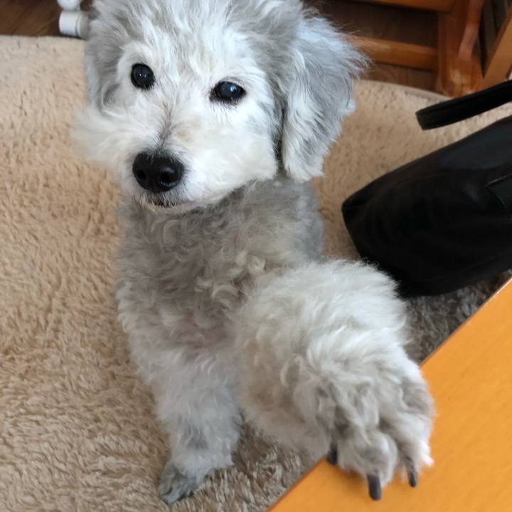 8470ad62 5220 4886 893e 2b8795c26147 1545175814840