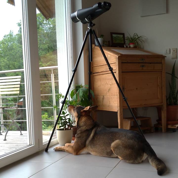 8471214a 4085 405d 8fc4 39c595d7a353 1592858403804