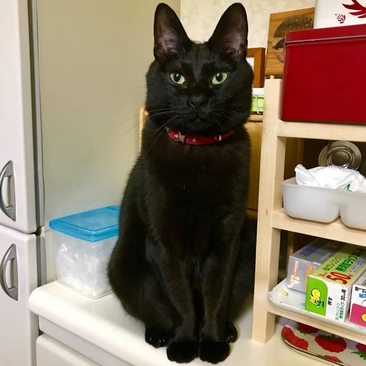 8471a44d c38b 45f0 8698 7e5b7ada98a3 1519222736141