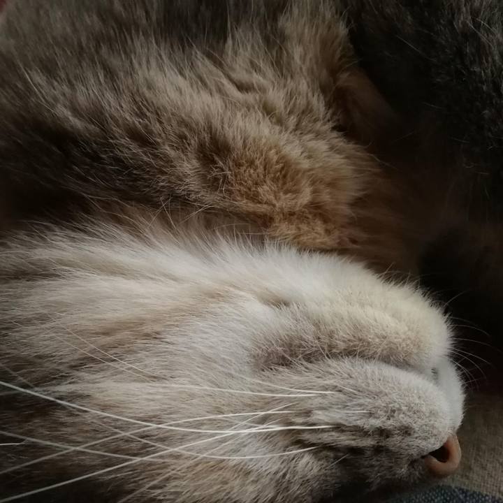 8471c11d eea8 4250 8070 3bf7ffb9e286 1556274542559