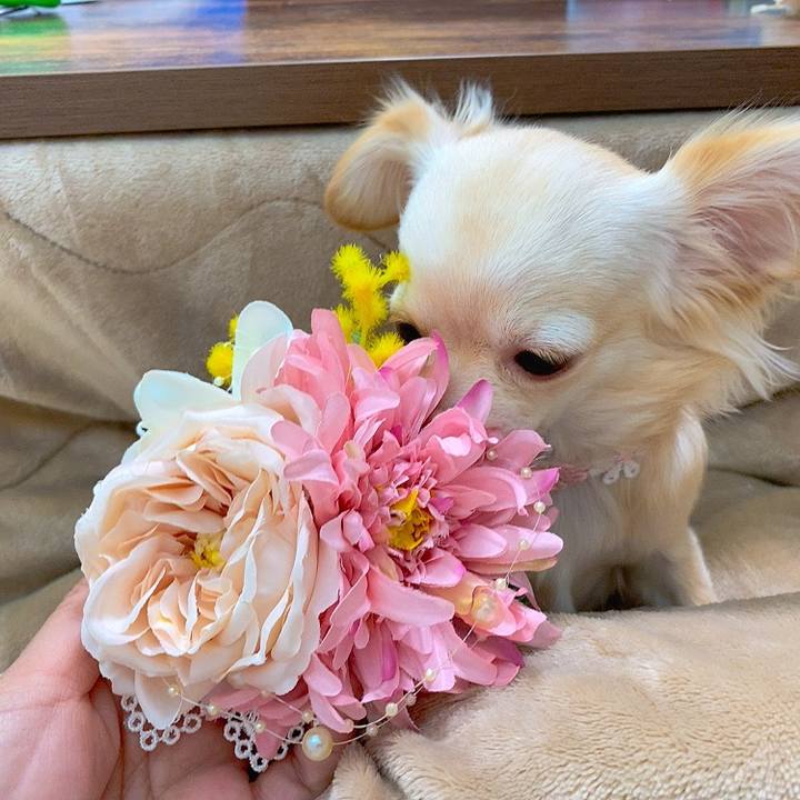 8471c192 f8b8 41de 9eaa 22eb117f9a0c 1613787891363