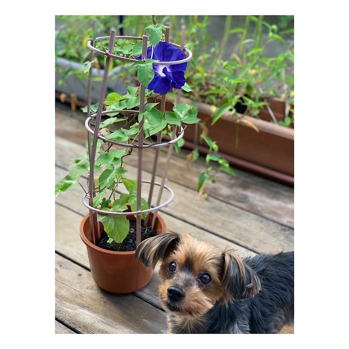 8471f938 8b1c 431b ad3a d1e7c213c600 1626730678710