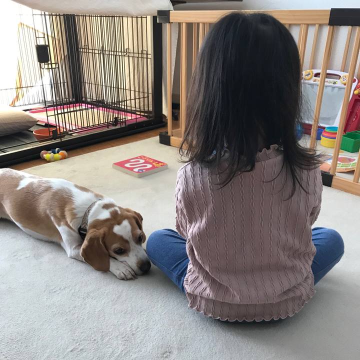 8472143e 6b1e 45c6 bd50 a3bafa6dd888 1667052145300