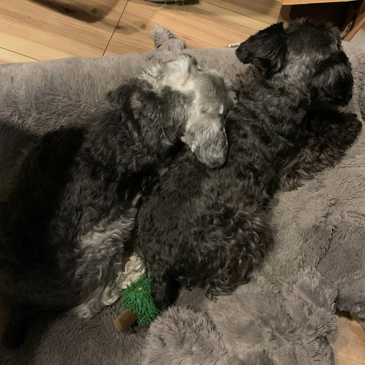 8472214a c8e1 43c2 bbf5 e202ad8fe8f5 1621572195763