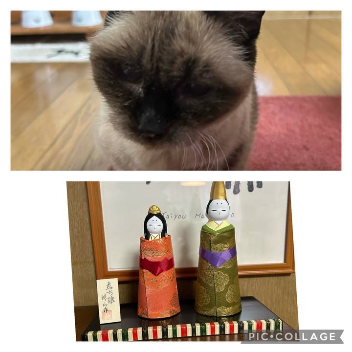 847234ce 4e57 4d3c 8d99 9ac5934a58b3 1709434988628