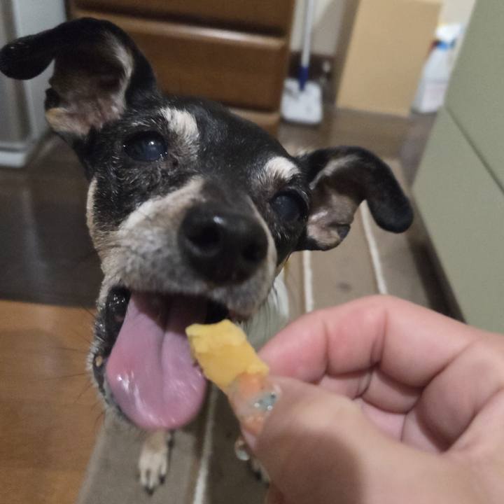 84726579 00a8 4033 af3d 62b23113537b 1754077749854