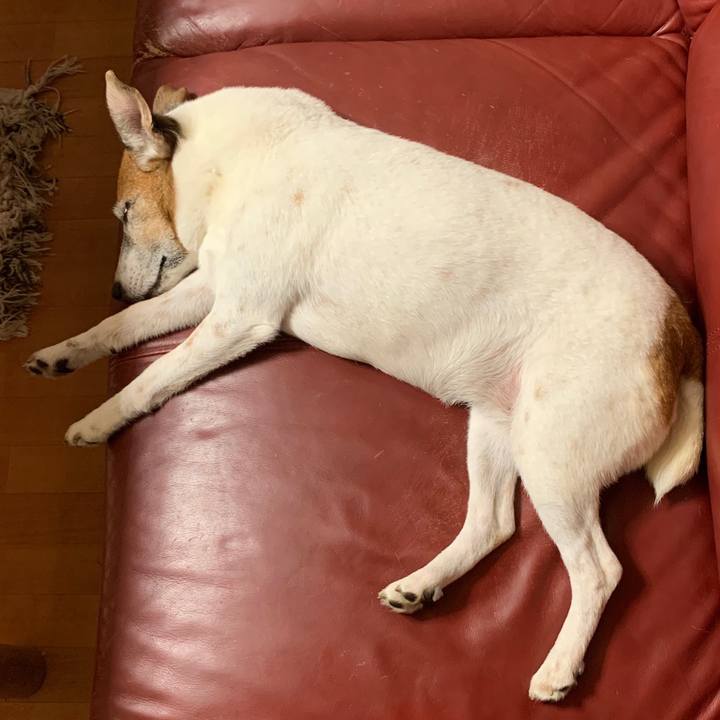 84727178 eed7 4795 b024 de54b5a14af5 1600956790954