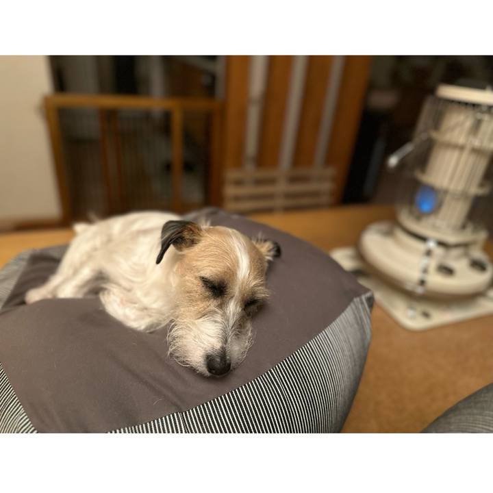 8472765b 9ef2 4bbc ac1c 2914a7c41763 1709036125004