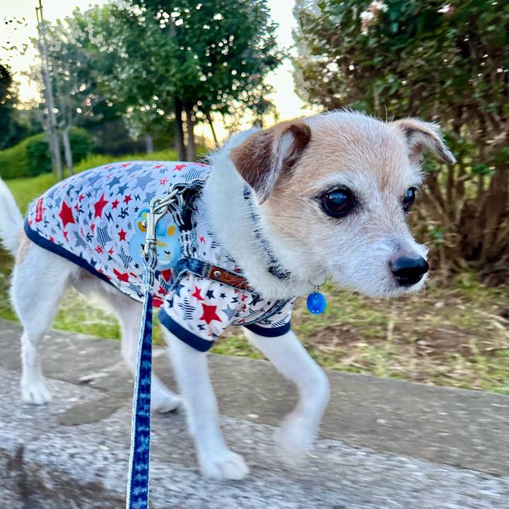 84728a81 9a50 440e 8c7e 73d9457bc88c 1697190608104