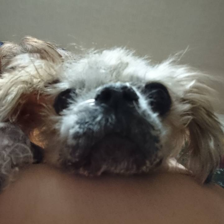 84729ed5 efa5 46b6 9b11 5df5af33667c 1543417700747