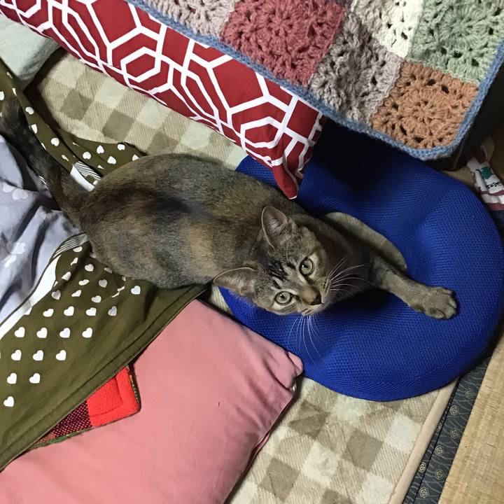 8472a47b fec5 4c78 b2f8 dc6fe36320c4 1578636665804