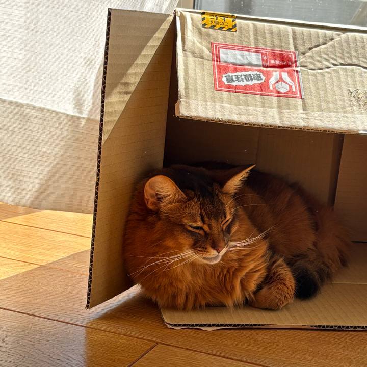 8472b8d8 1cfa 4f85 a0a1 7b44b15ec6d0 1762038572183