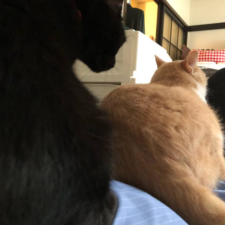 8472d555 eeb9 4530 b3ae 38abc8c5d311 1556274196162