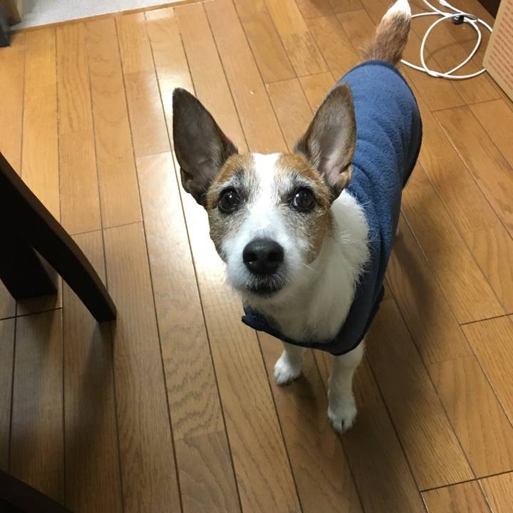 8472d5c6 c596 4666 9c33 6b8cbb56f225 1552044375774