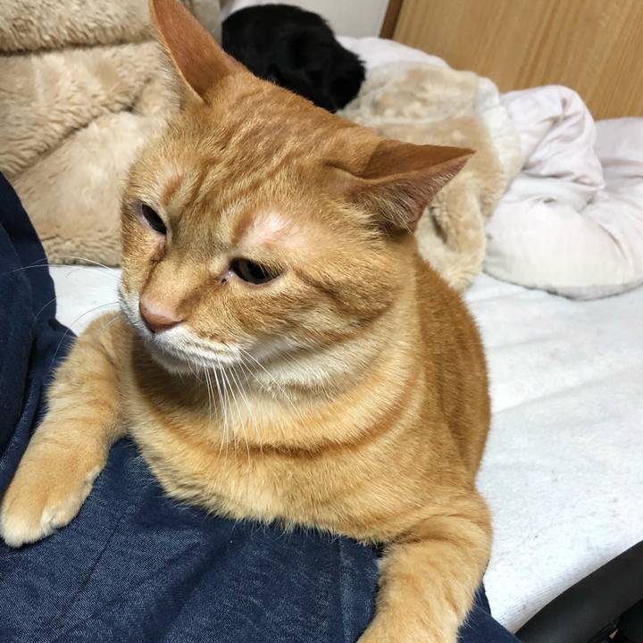 8472f84b aad0 4b02 9af7 d5f3d995ac1b 1619528403837