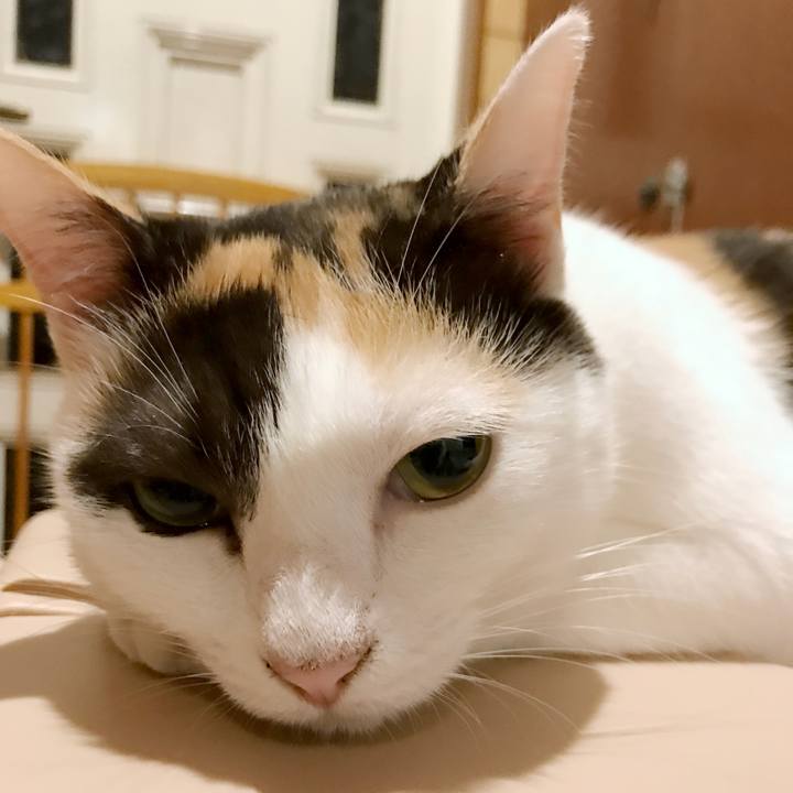 84731430 183d 4db1 b111 82e7d17a8ac6 1536417335732